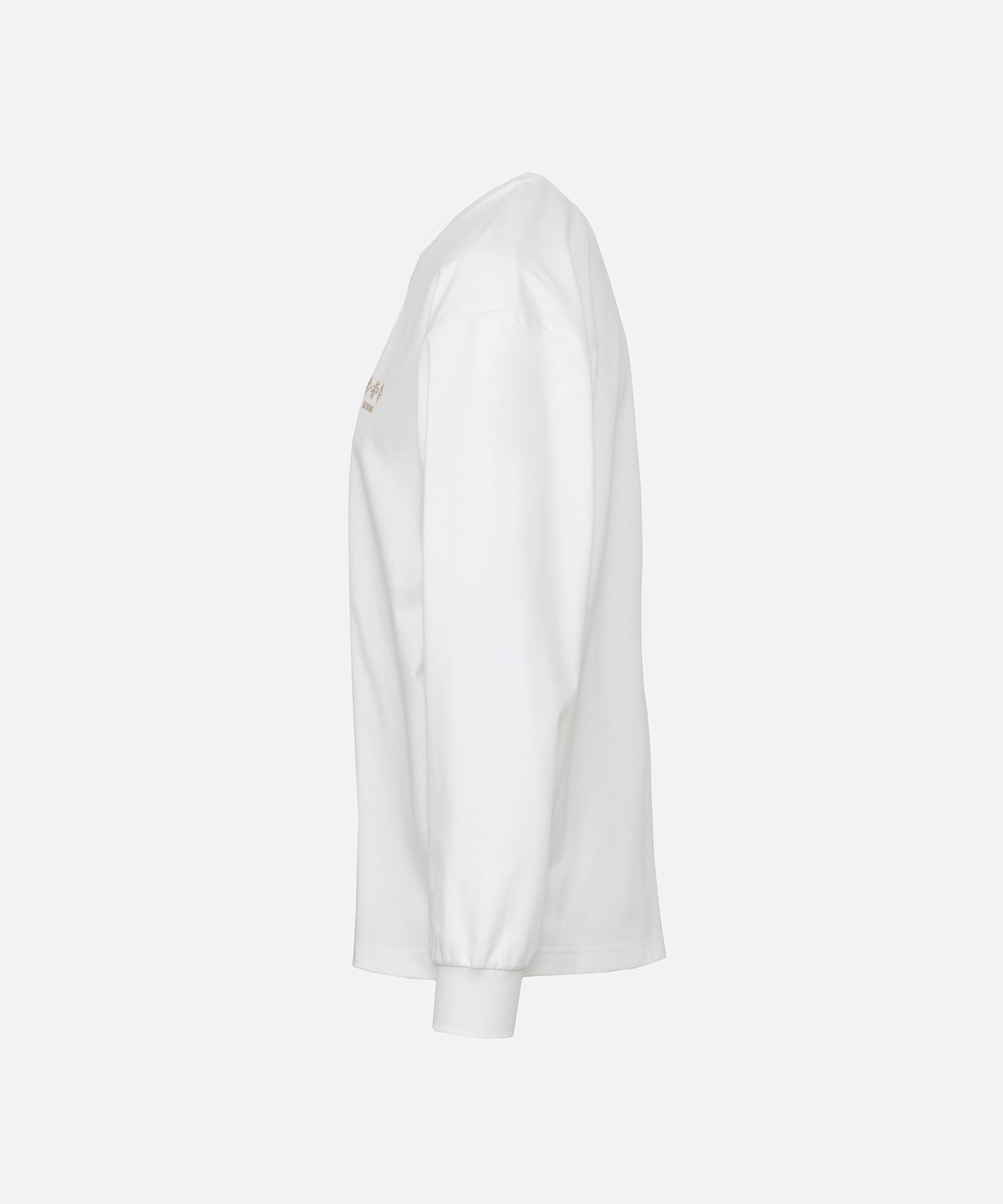 GABA ギャバ Tシャツ