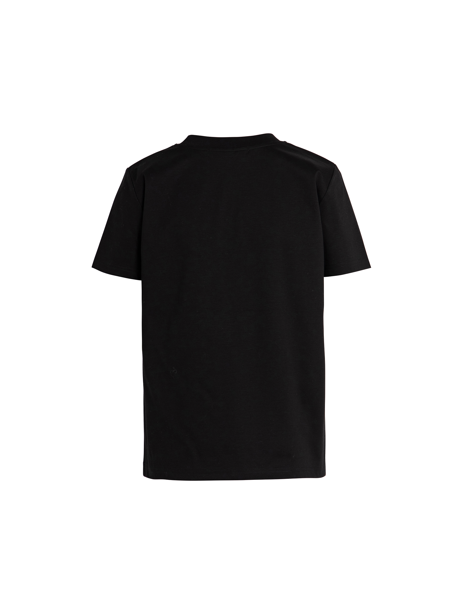 ALEA エーリア Tシャツ