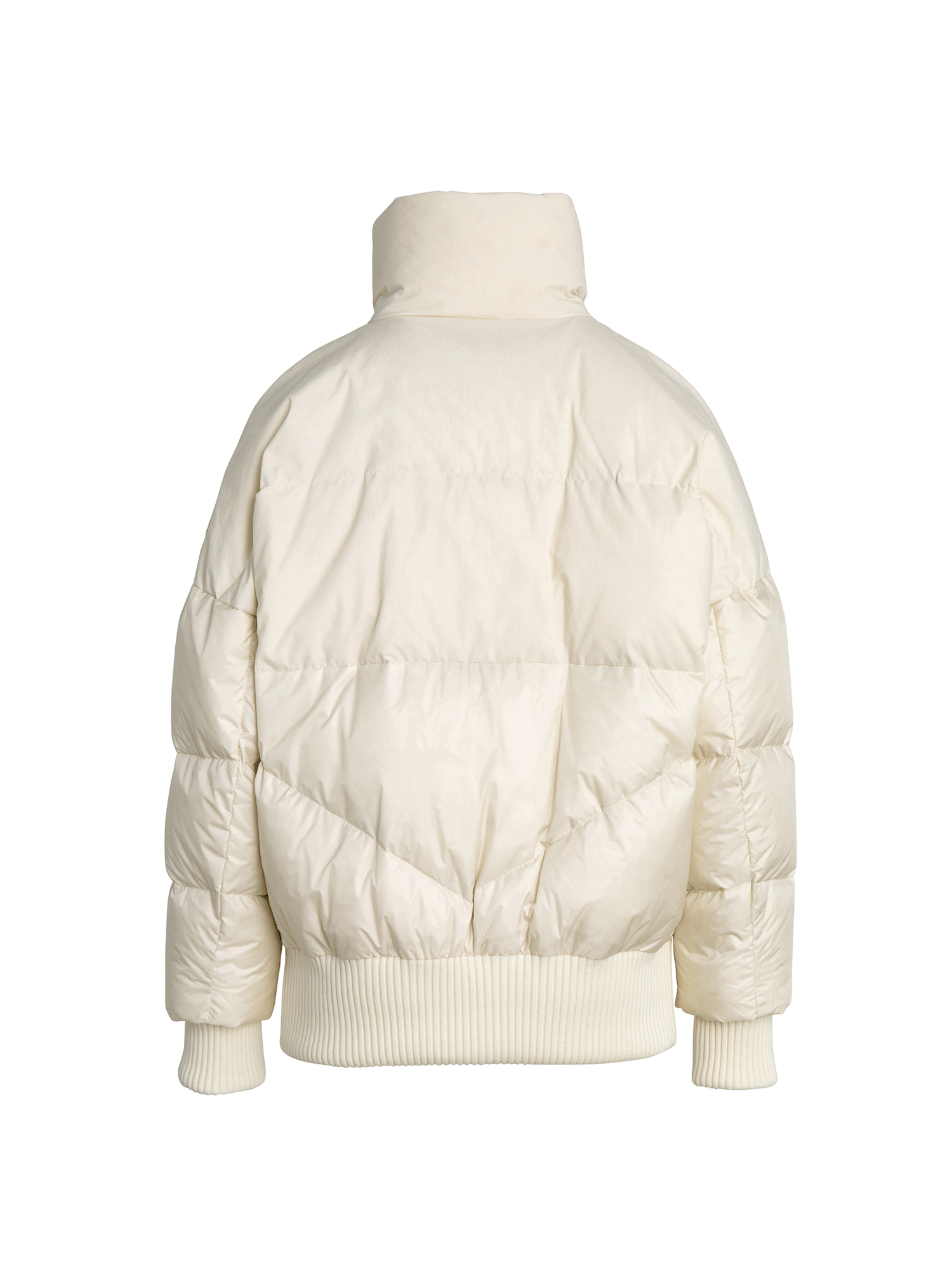 ARNICA アルニカ ダウンジャケット