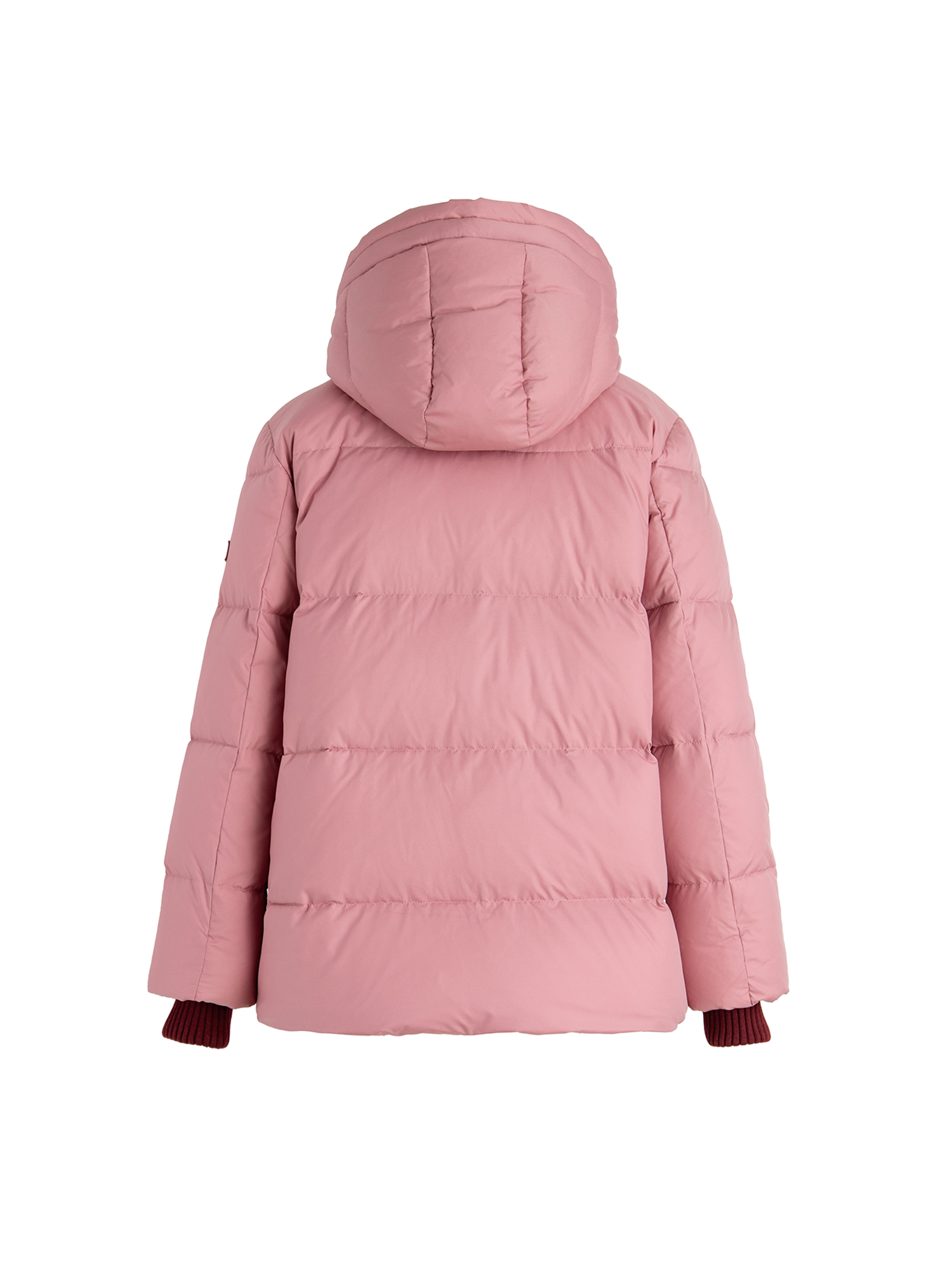 NEPETA ネペタ ダウンジャケット