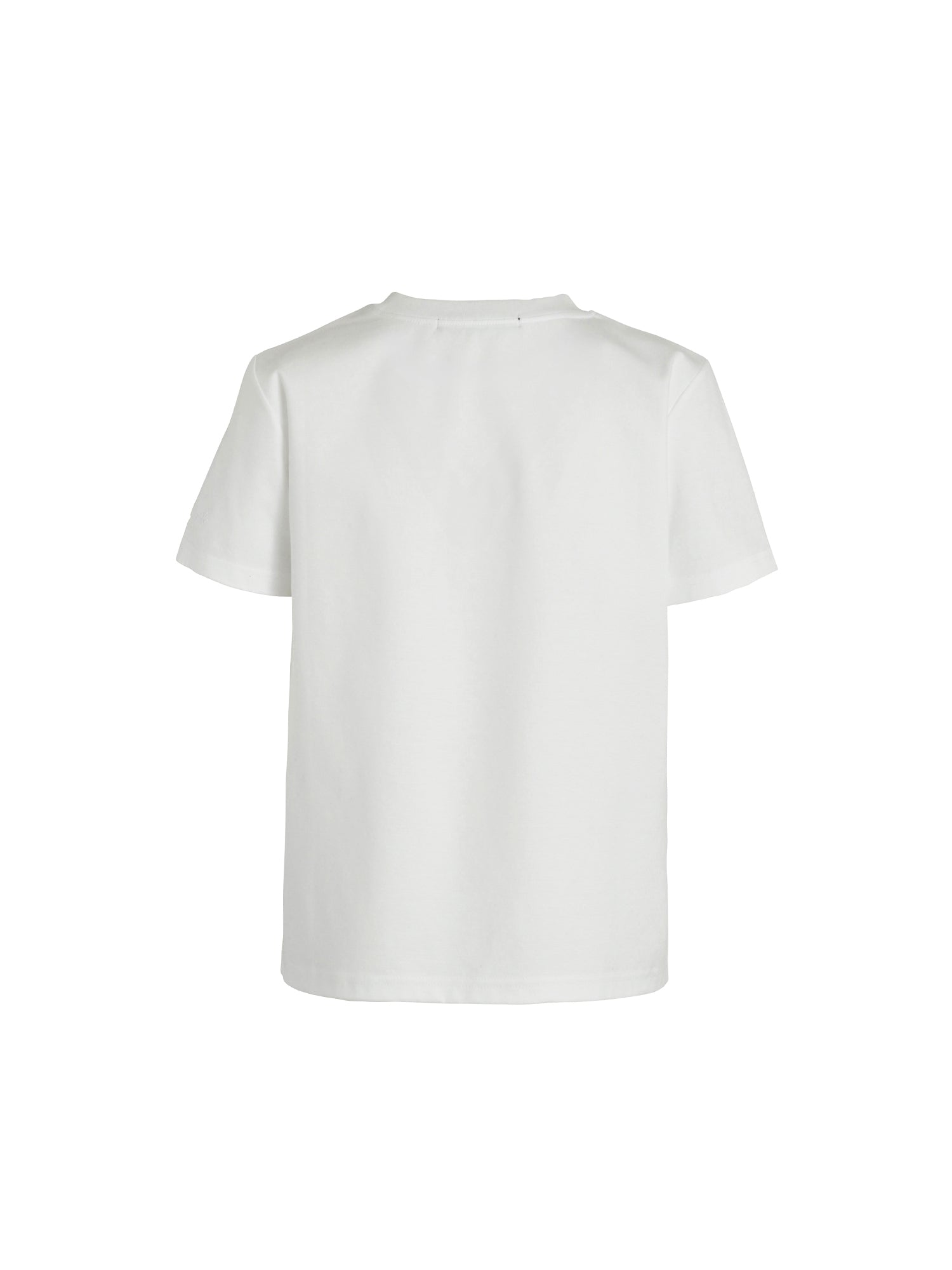 SCIACCA スシアッカ Tシャツ