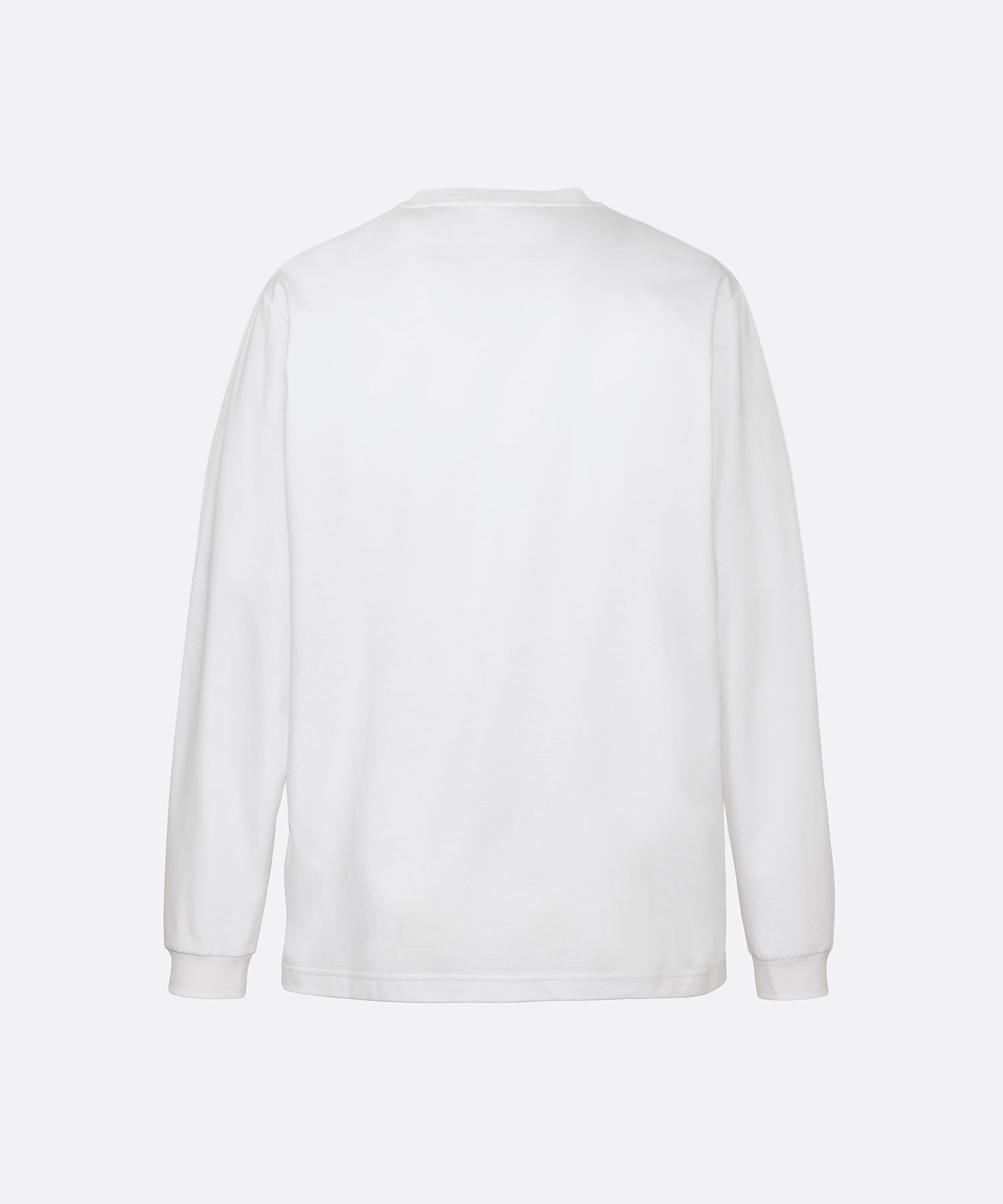 SICADO シカード Tシャツ 2026年秋冬モデル